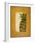 Media Piña I-Patricia Pinto-Framed Art Print