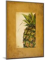 Media Piña I-Patricia Pinto-Mounted Art Print