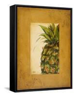 Media Piña I-Patricia Pinto-Framed Stretched Canvas