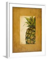 Media Piña I-Patricia Pinto-Framed Art Print