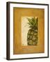 Media Piña I-Patricia Pinto-Framed Art Print