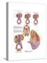 Medical Chart Showing the Signs and Symptoms of Kidney Cancer-null-Stretched Canvas