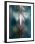 Medical Collage-null-Framed Photographic Print