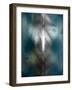 Medical Collage-null-Framed Photographic Print