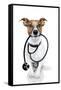 Medical Doctor Dog-Javier Brosch-Framed Stretched Canvas