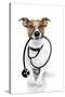 Medical Doctor Dog-Javier Brosch-Stretched Canvas