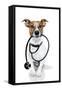 Medical Doctor Dog-Javier Brosch-Framed Stretched Canvas