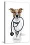 Medical Doctor Dog-Javier Brosch-Stretched Canvas