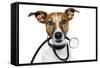 Medical Doctor Dog-Javier Brosch-Framed Stretched Canvas