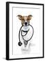 Medical Doctor Dog-Javier Brosch-Framed Photographic Print