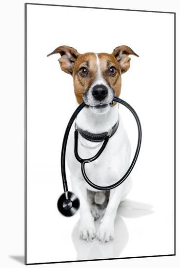 Medical Doctor Dog-Javier Brosch-Mounted Photographic Print