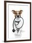 Medical Doctor Dog-Javier Brosch-Framed Photographic Print