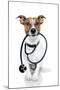 Medical Doctor Dog-Javier Brosch-Mounted Photographic Print