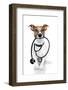 Medical Doctor Dog-Javier Brosch-Framed Photographic Print