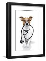 Medical Doctor Dog-Javier Brosch-Framed Photographic Print