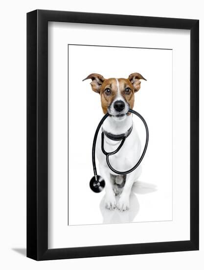 Medical Doctor Dog-Javier Brosch-Framed Photographic Print