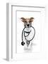 Medical Doctor Dog-Javier Brosch-Framed Photographic Print