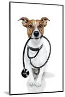 Medical Doctor Dog-Javier Brosch-Mounted Photographic Print