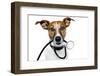 Medical Doctor Dog-Javier Brosch-Framed Photographic Print