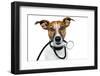 Medical Doctor Dog-Javier Brosch-Framed Photographic Print