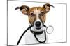 Medical Doctor Dog-Javier Brosch-Mounted Photographic Print