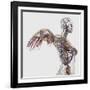 Medical Illustration of Arteries, Veins And Lymphatic System in Female Chest Area-Stocktrek Images-Framed Photographic Print