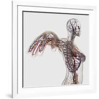 Medical Illustration of Arteries, Veins And Lymphatic System in Female Chest Area-Stocktrek Images-Framed Photographic Print