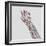 Medical Illustration of Arteries, Veins And Lymphatic System in Hand And Arm-Stocktrek Images-Framed Photographic Print