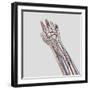 Medical Illustration of Arteries, Veins And Lymphatic System in Hand And Arm-Stocktrek Images-Framed Photographic Print