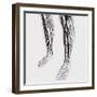 Medical Illustration of Arteries, Veins And Lymphatic System in Human Legs-Stocktrek Images-Framed Photographic Print