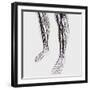 Medical Illustration of Arteries, Veins And Lymphatic System in Human Legs-Stocktrek Images-Framed Photographic Print