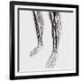 Medical Illustration of Arteries, Veins And Lymphatic System in Human Legs-Stocktrek Images-Framed Photographic Print