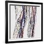 Medical Illustration of Arteries, Veins And Lymphatic System in Human Legs-Stocktrek Images-Framed Photographic Print