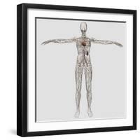 Medical Illustration of Female Lymphatic System with Heart-Stocktrek Images-Framed Photographic Print