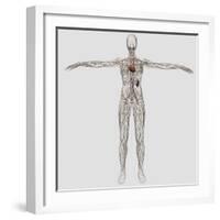 Medical Illustration of Female Lymphatic System with Heart-Stocktrek Images-Framed Photographic Print