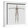 Medical Illustration of Female Lymphatic System with Heart-Stocktrek Images-Framed Photographic Print