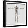 Medical Illustration of Female Lymphatic System with Heart-Stocktrek Images-Framed Photographic Print
