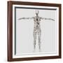 Medical Illustration of Female Lymphatic System with Heart-Stocktrek Images-Framed Photographic Print