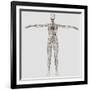 Medical Illustration of Female Lymphatic System with Heart-Stocktrek Images-Framed Photographic Print