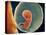 Medical Illustration of Fetus Development at 9 Weeks-null-Stretched Canvas