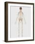 Medical Illustration of Peripheral Nervous System with Brain-Stocktrek Images-Framed Art Print
