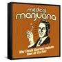 Medical Marijuana Why Should Glaucoma Patients Have All the Fun?-Retrospoofs-Framed Stretched Canvas