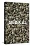 Medical Marijuana-null-Stretched Canvas