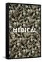 Medical Marijuana-null-Framed Stretched Canvas