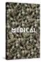 Medical Marijuana-null-Stretched Canvas