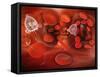 Medical Nanobots in the Bloodstream with Red Blood Cells-null-Framed Stretched Canvas