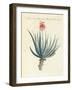 Medical Plants-null-Framed Giclee Print