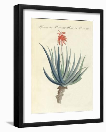 Medical Plants-null-Framed Giclee Print