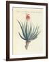 Medical Plants-null-Framed Giclee Print