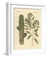 Medical Plants-null-Framed Giclee Print